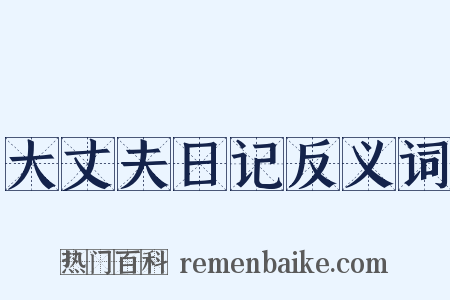 大丈夫日记反义词是什么意思的图片